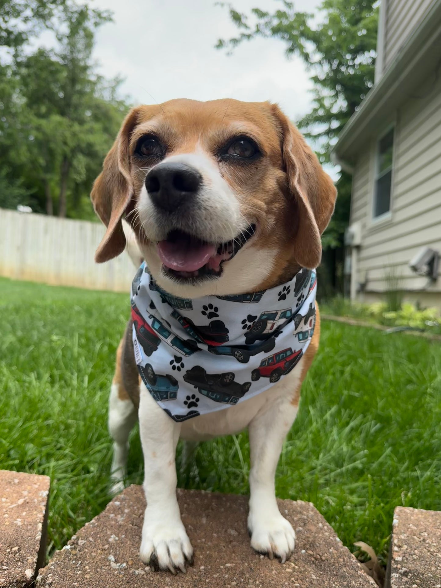 Bronco Bandana | Car Enthusiast
Themed Tie On Bandana