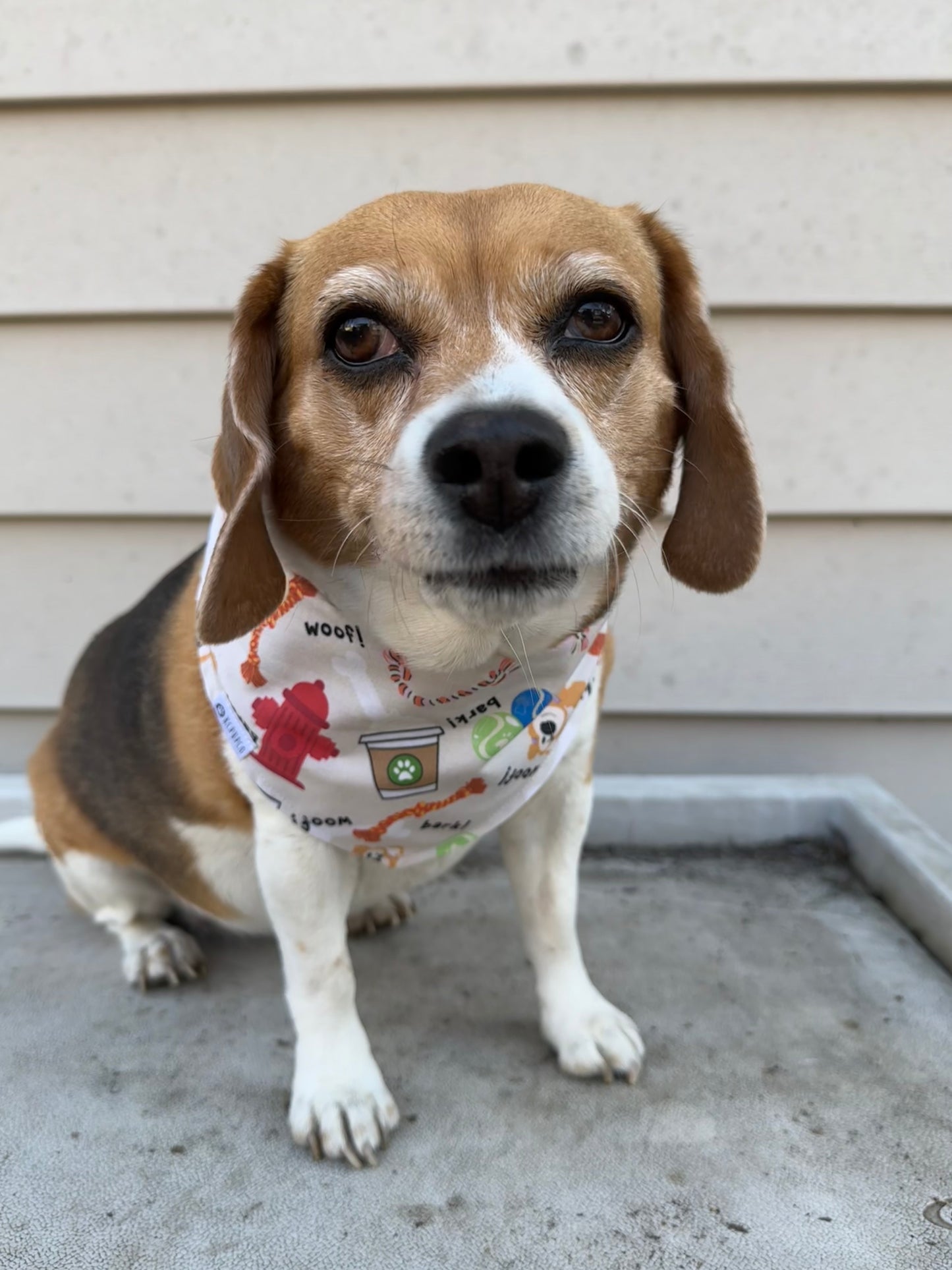 Woof! Bandana | Dog Toy Themed Tie On Cotton Bandana