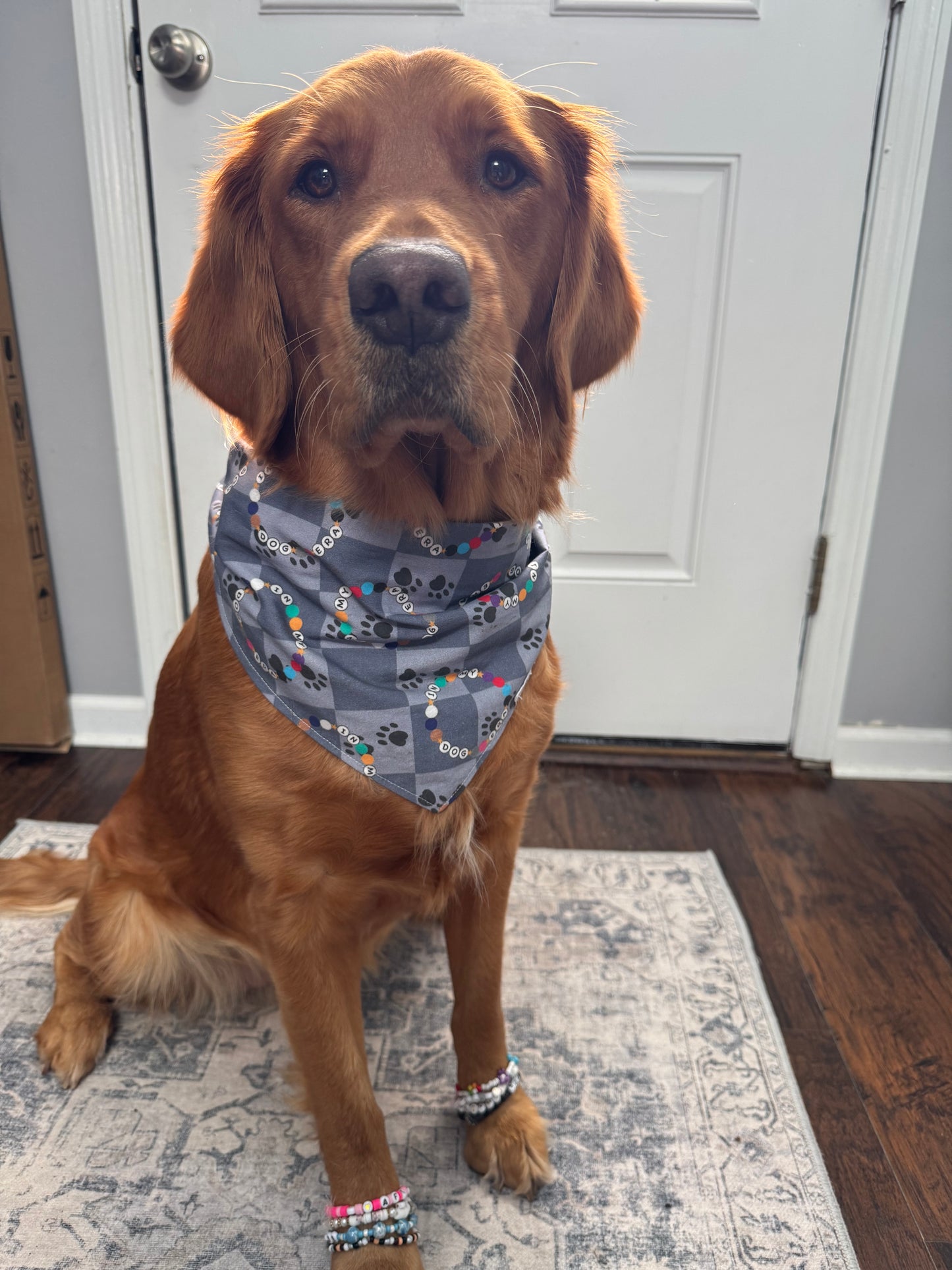 In My Dog Era Bandana | Friendship Bracelet Themed Tie On Cotton Bandana