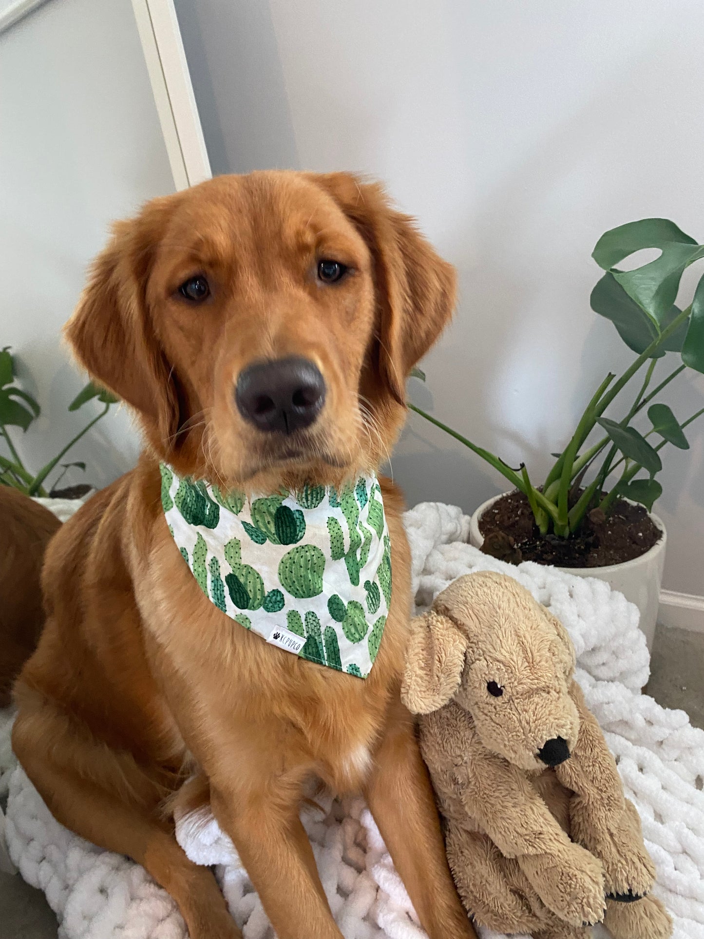 Saguaro Bandana | Boho Cactus Tie On Bandana