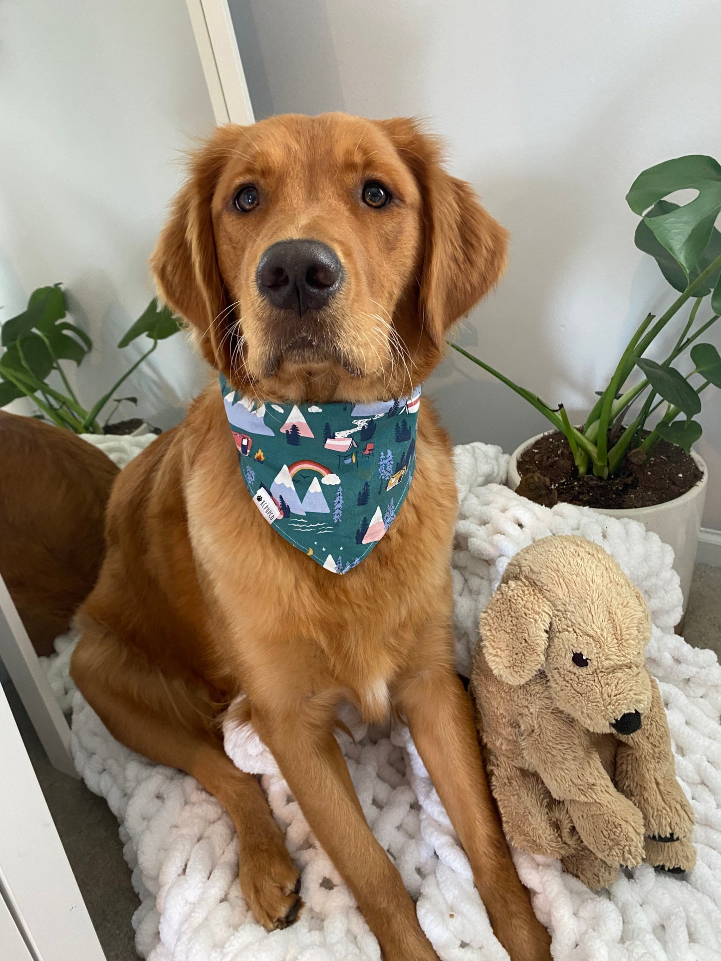 Yosemite Bandana | Mountains and Campers Tie On Bandana