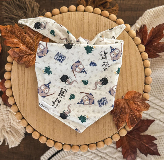 Magic Bandana | Wizards and Owls On Grey Flannel Bandana for Dogs