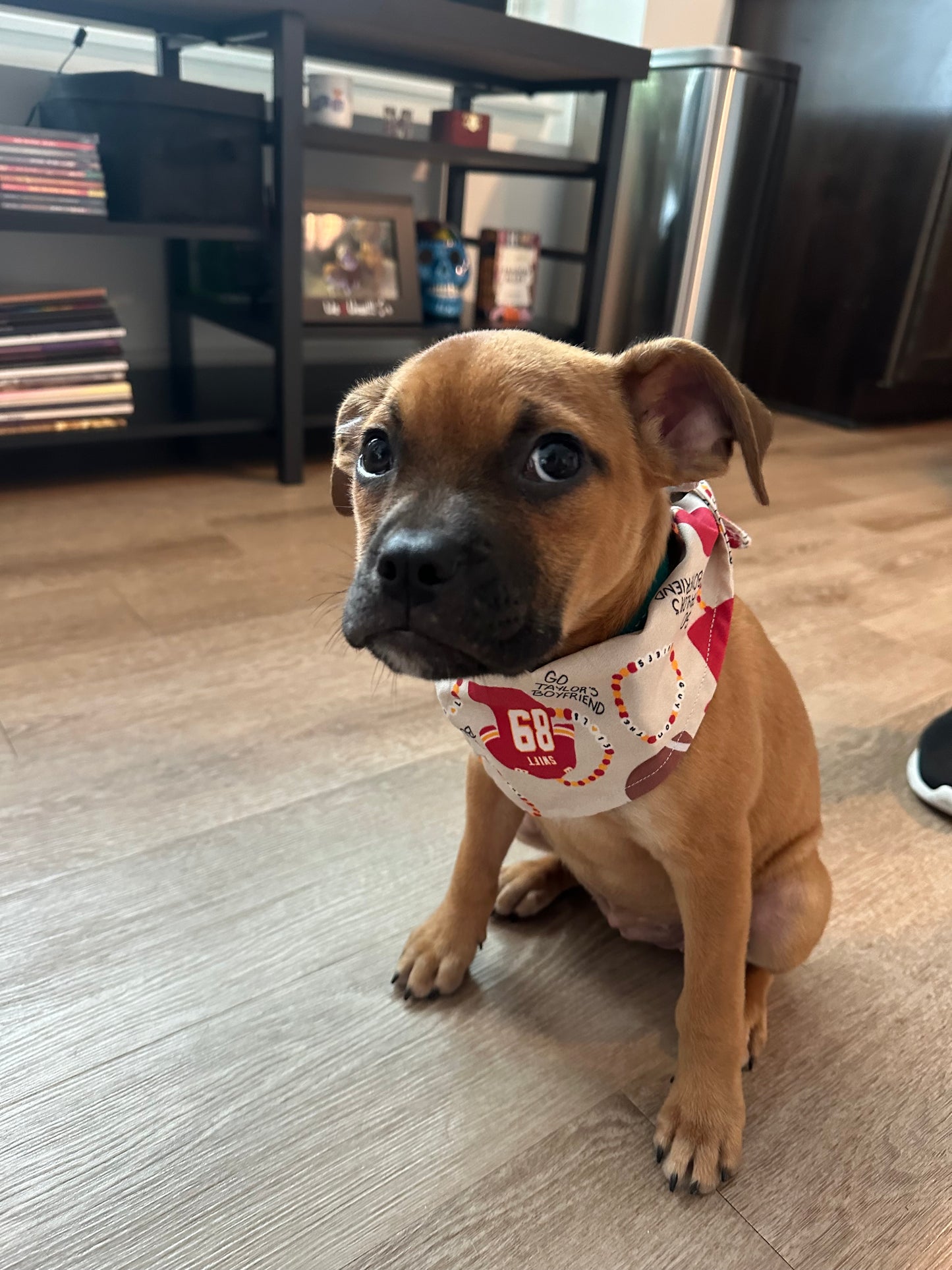 So High School Bandana | KC Football Themed With Friendship Bracelets Tie On Bandana