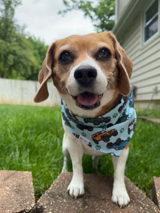 Jeep Bandana | Car Enthusiast Themed Tie On Bandana