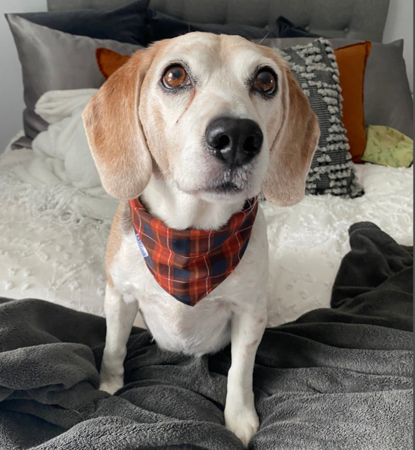 Cider Mill Bandana | Burnt Orange and Red Plaid Tie On Fall Bandana for Dogs