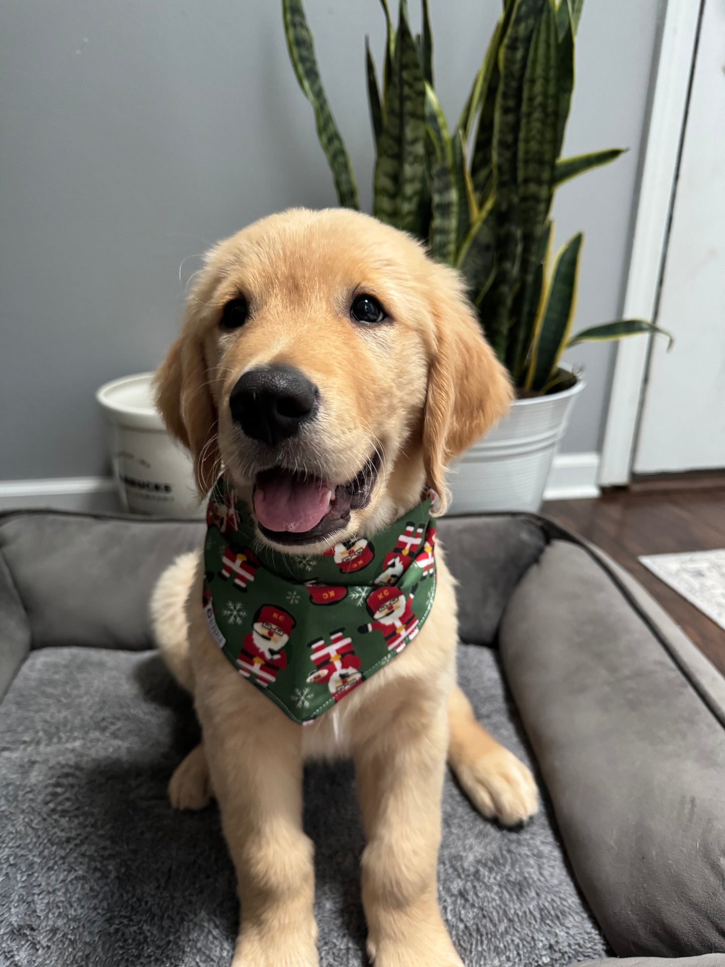 Santa Andy Bandana | KC Football Christmas Tie On Bandana