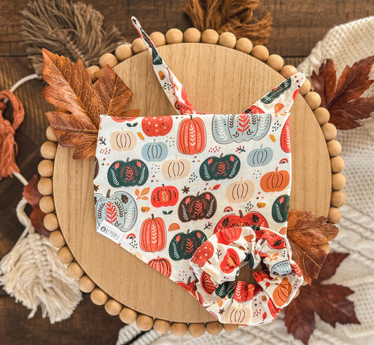 Fairytale Bandana | Boho Pumpkins and Rainbows Tie On Fall Bandana for Dogs