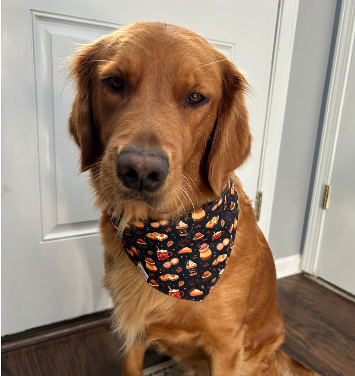 Ruthie Bandana | Fall Pastries on Dark Tie On Fall Cotton Bandana for Dogs