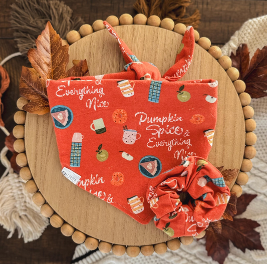 PSL Bandana | Burnt Orange Pumpkin Spice Tie On Fall Flannel Bandana for Dogs