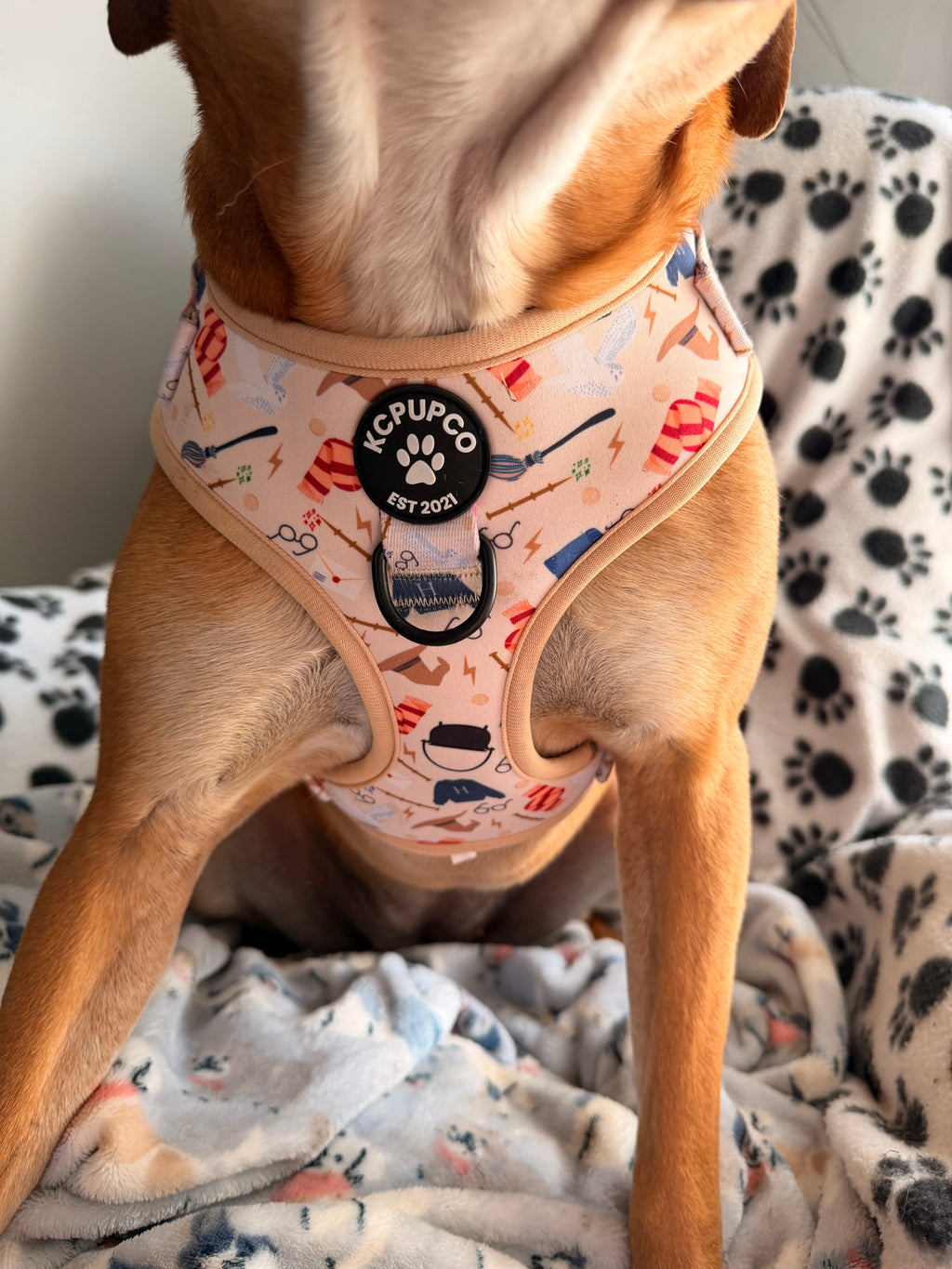 Hairy Pawter Harness | Magical Icons Neoprene Adjustable Harness