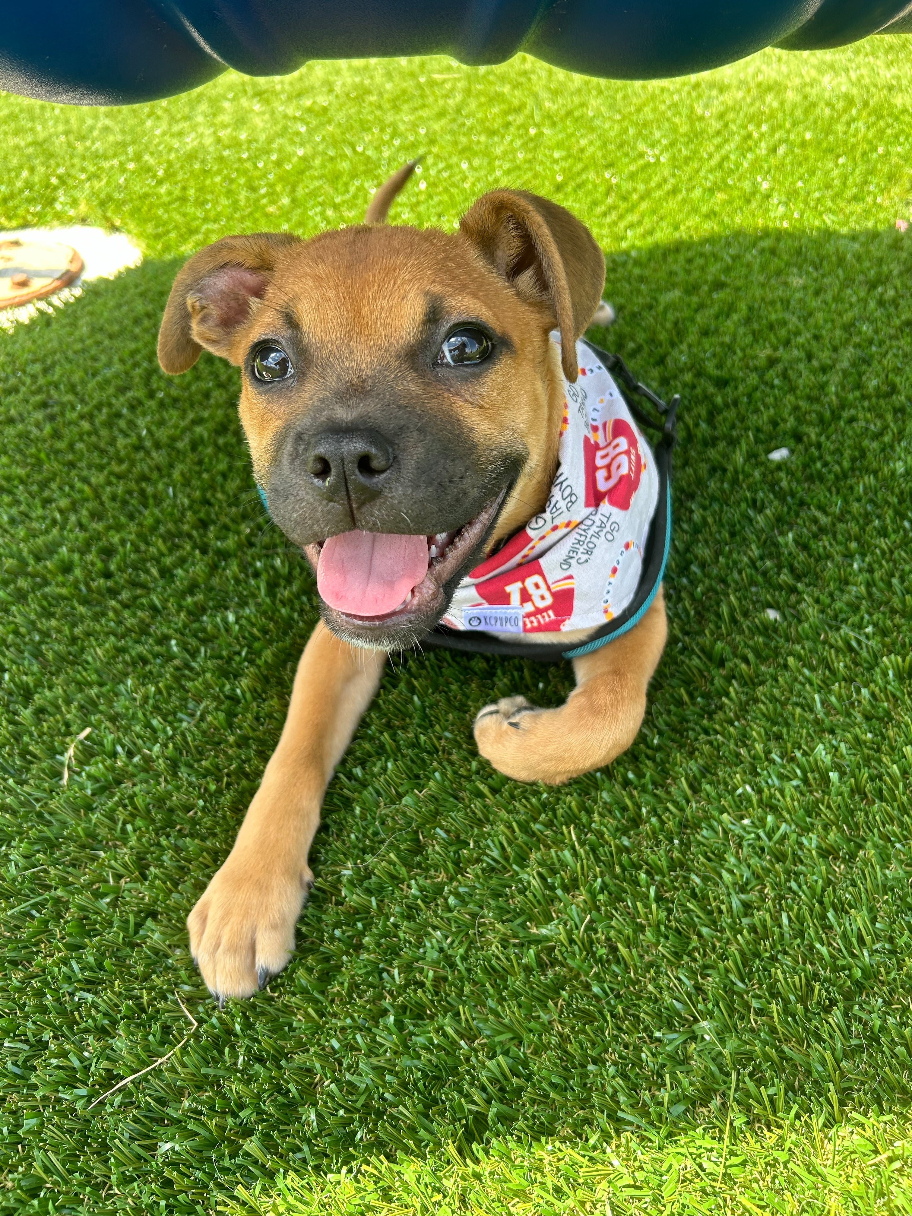 So High School Bandana | KC Football Themed With Friendship Bracelets Tie On Bandana