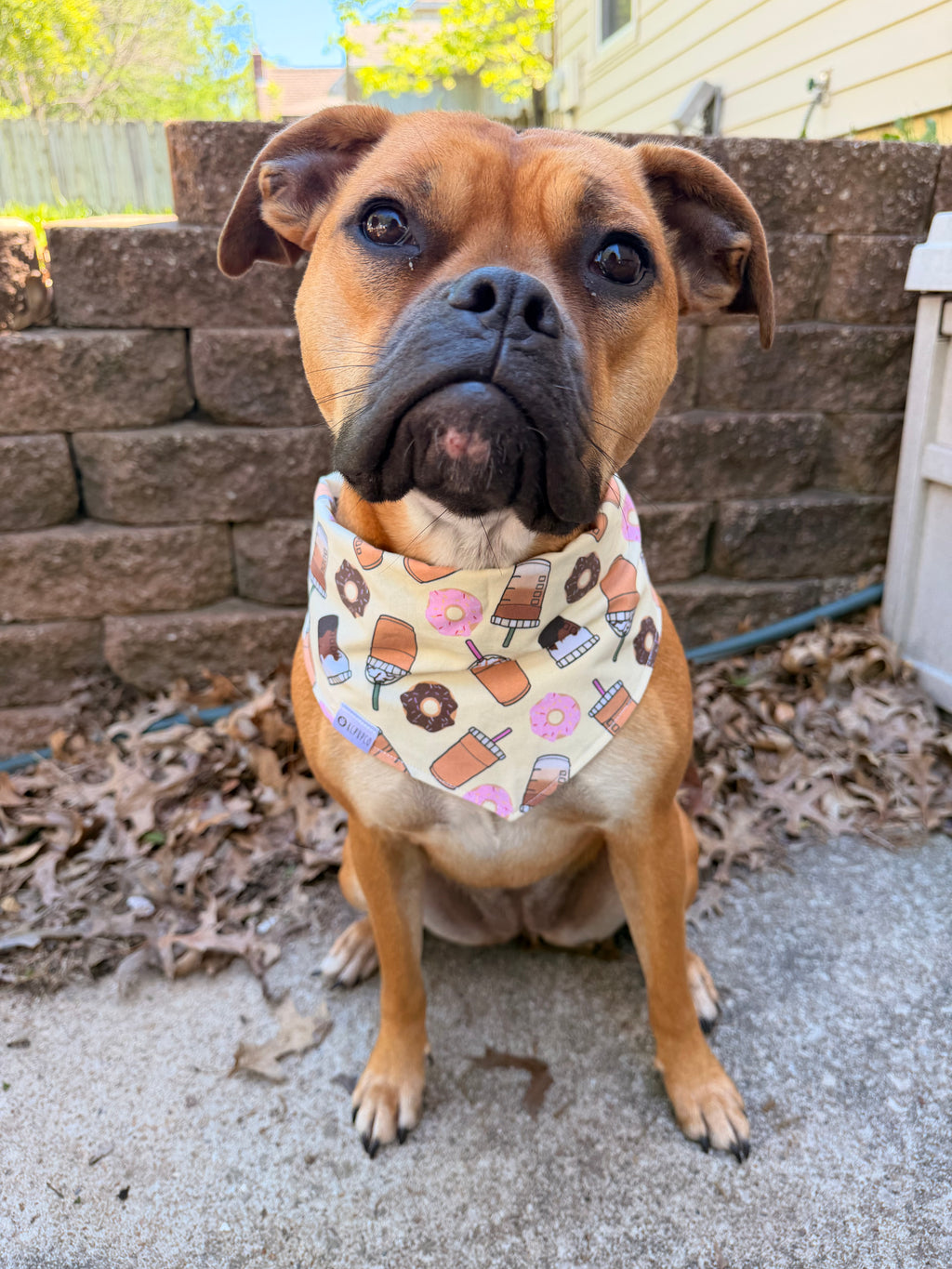 Donut Shop Bandana | Iced Coffee and Donuts on Butter Yellow Tie On Cotton Bandana