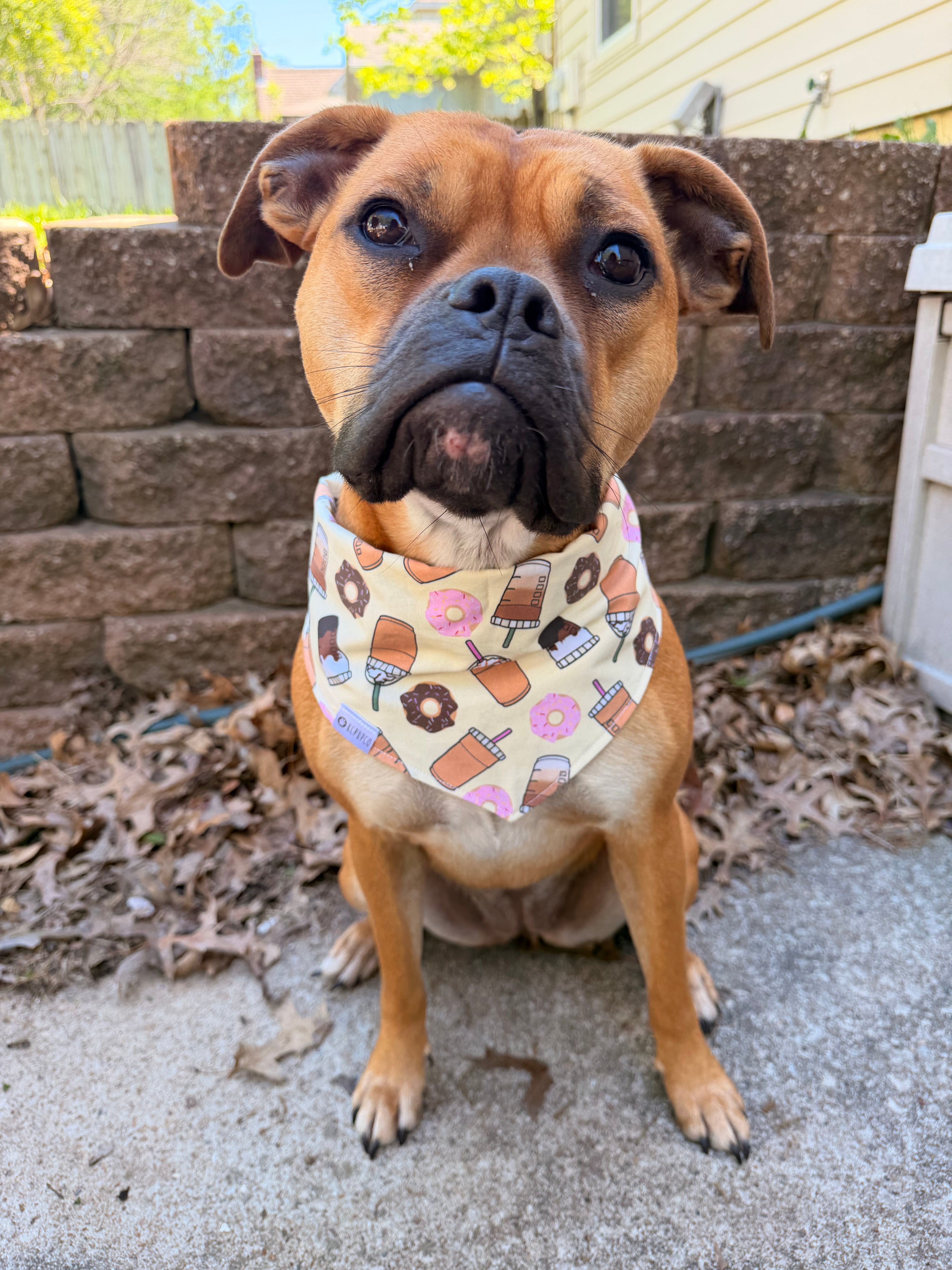 Donut Shop Bandana | Iced Coffee and Donuts on Butter Yellow Tie On Cotton Bandana