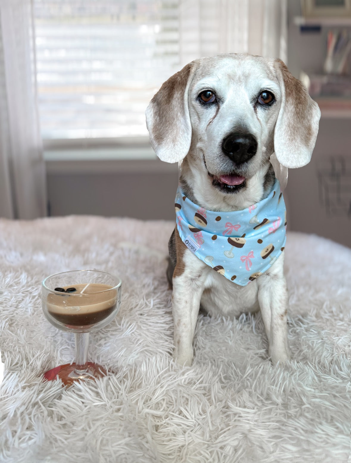 Me Espresso Bandana | Espresso Martini and Bow on Light Blue Tie On Cotton Bandana