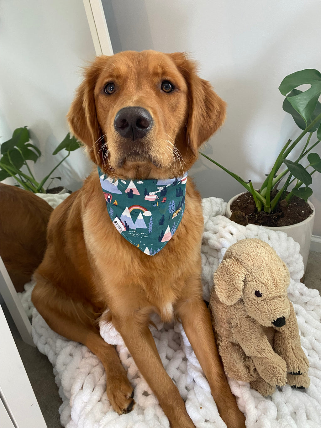 Yosemite Bandana | Mountains and Campers Tie On Bandana