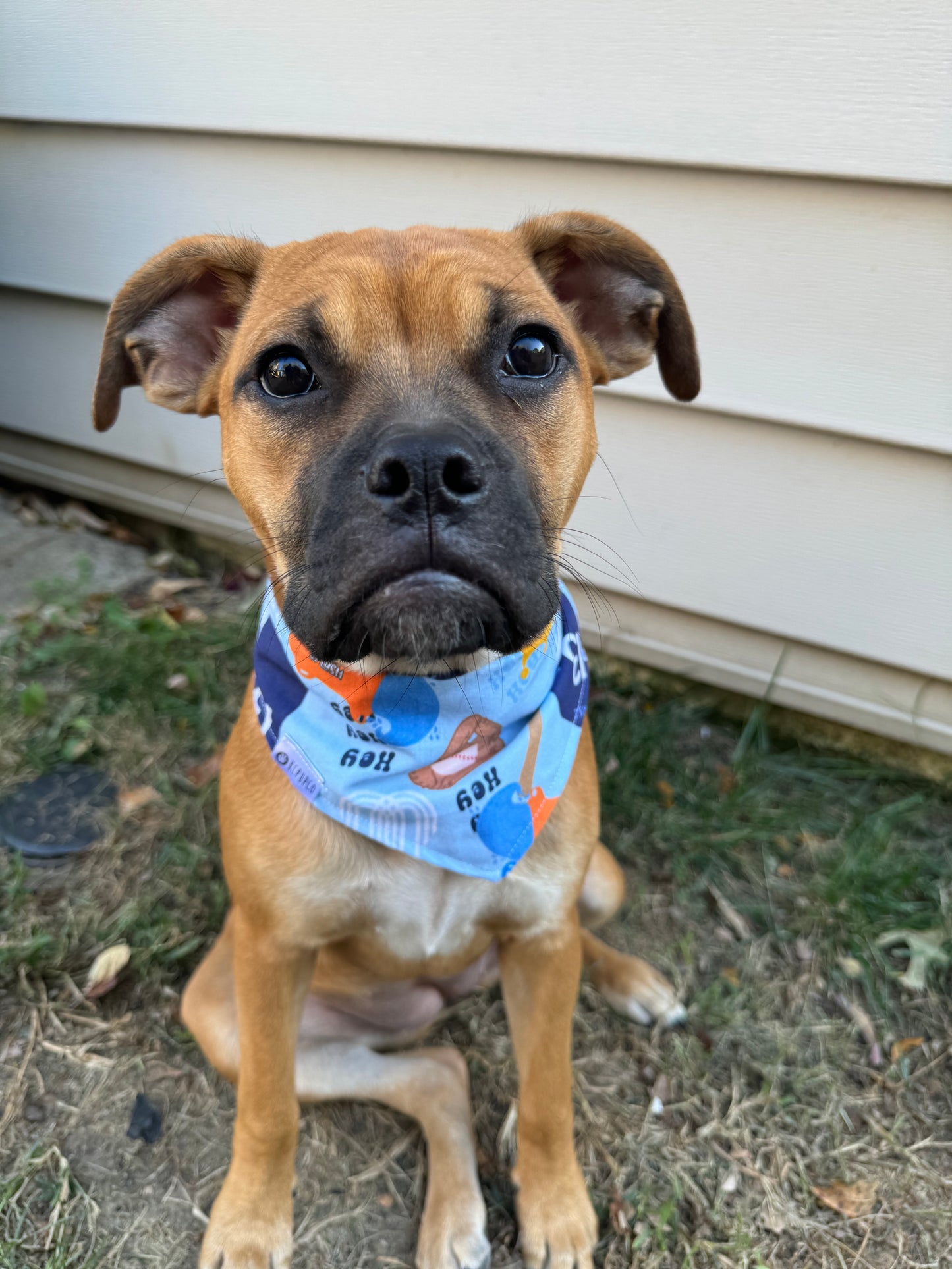 Boys In Blue Bandana | KC Baseball Themed Tie On Cotton Bandana
