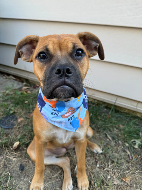Boys In Blue Bandana | KC Baseball Themed Tie On Cotton Bandana
