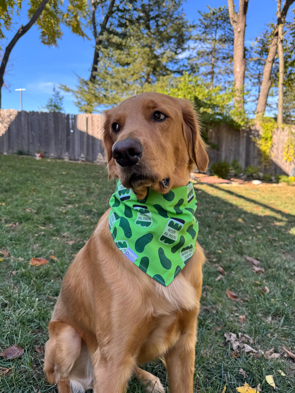 In a Pickle Bandana | Smiling Pickles on Green Cotton Tie On Bandana