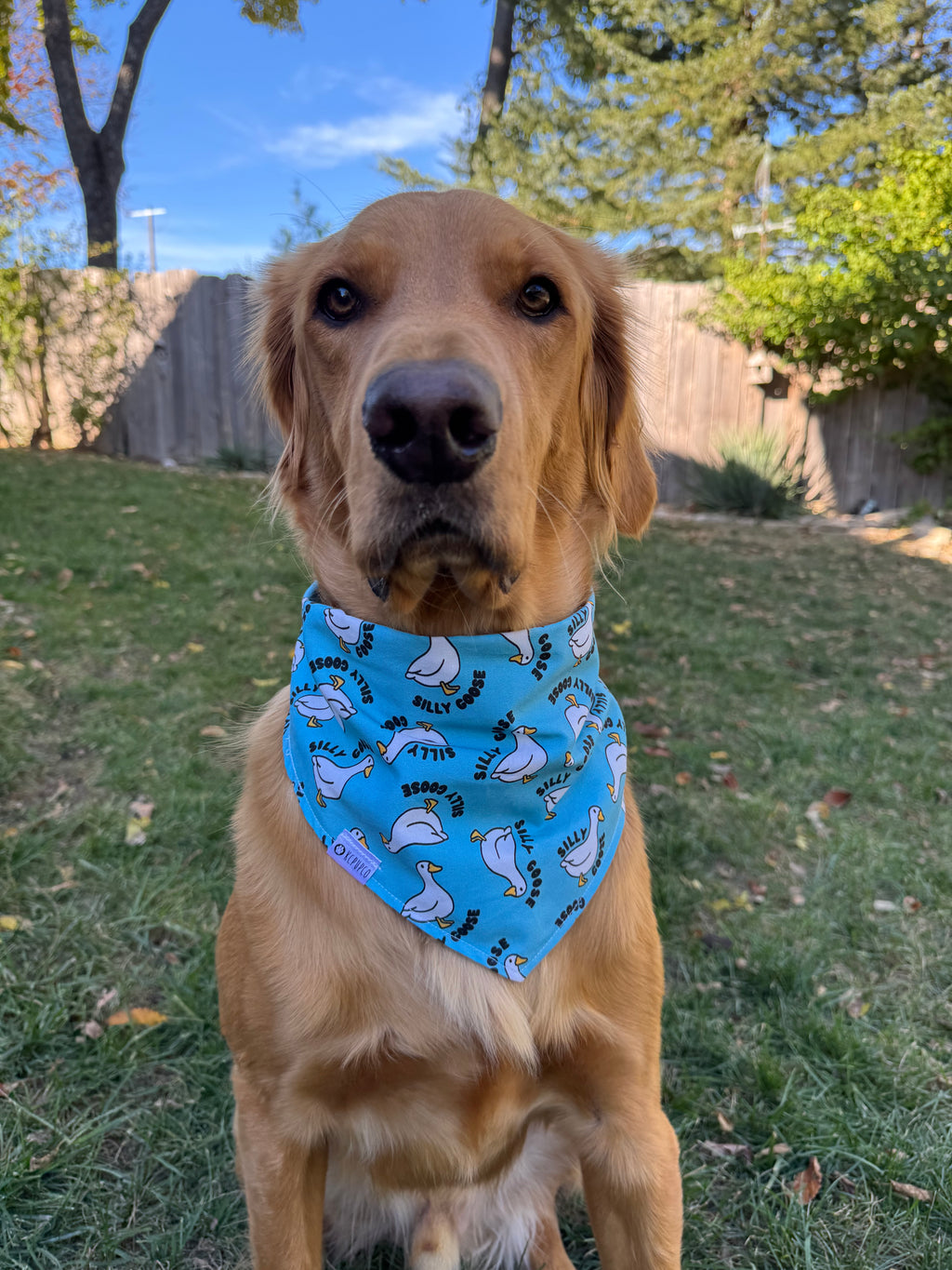 Silly Goose Bandana | Silly Geese Bird Tie On Cotton Bandana