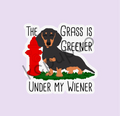 The Grass Is Greener Under My Weiner Sticker | Funny Weiner Dog Sticker