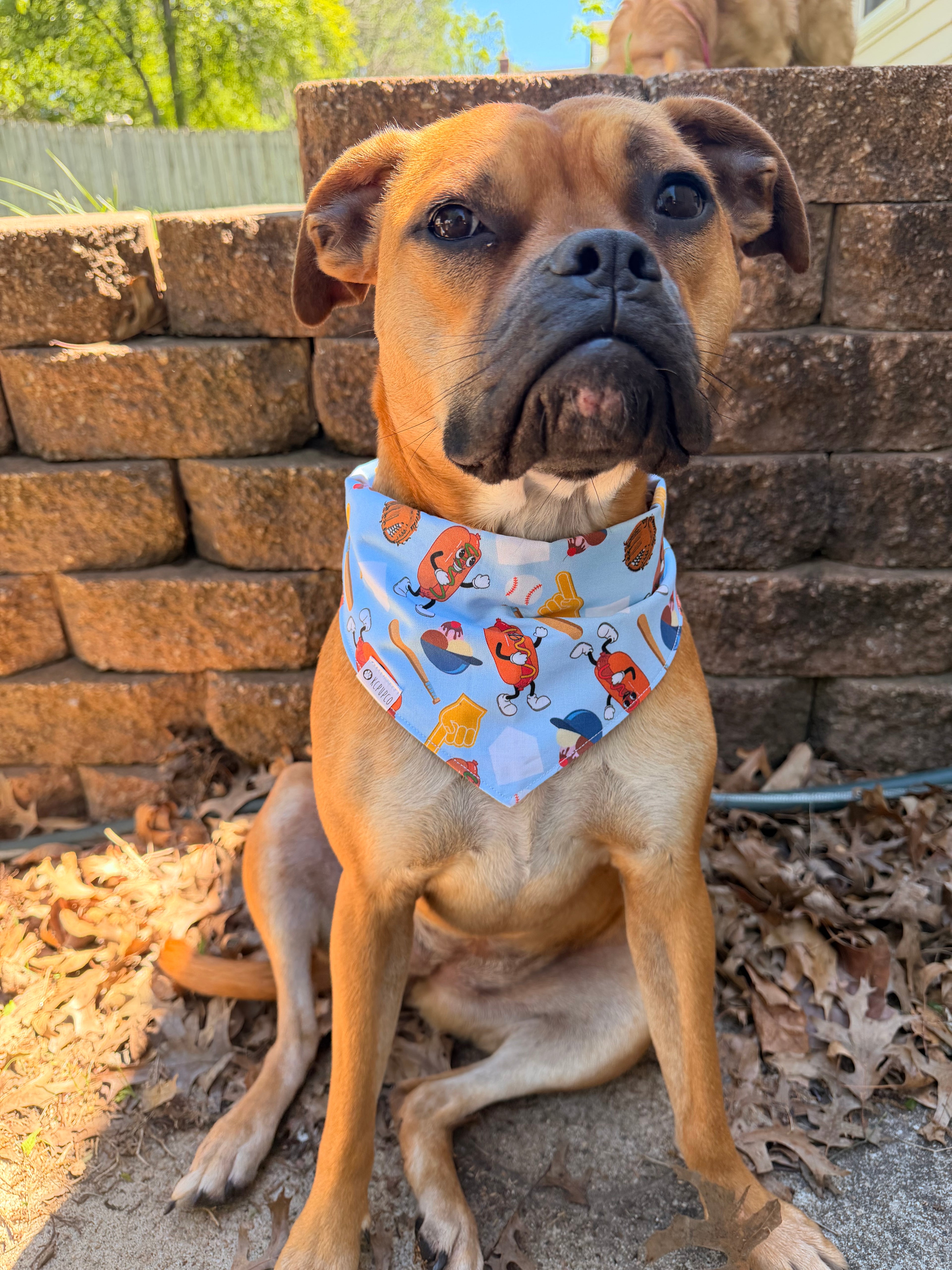 Not My First Ballgame Bandana | KC Ballpark Food Icons Tie On Cotton Bandana