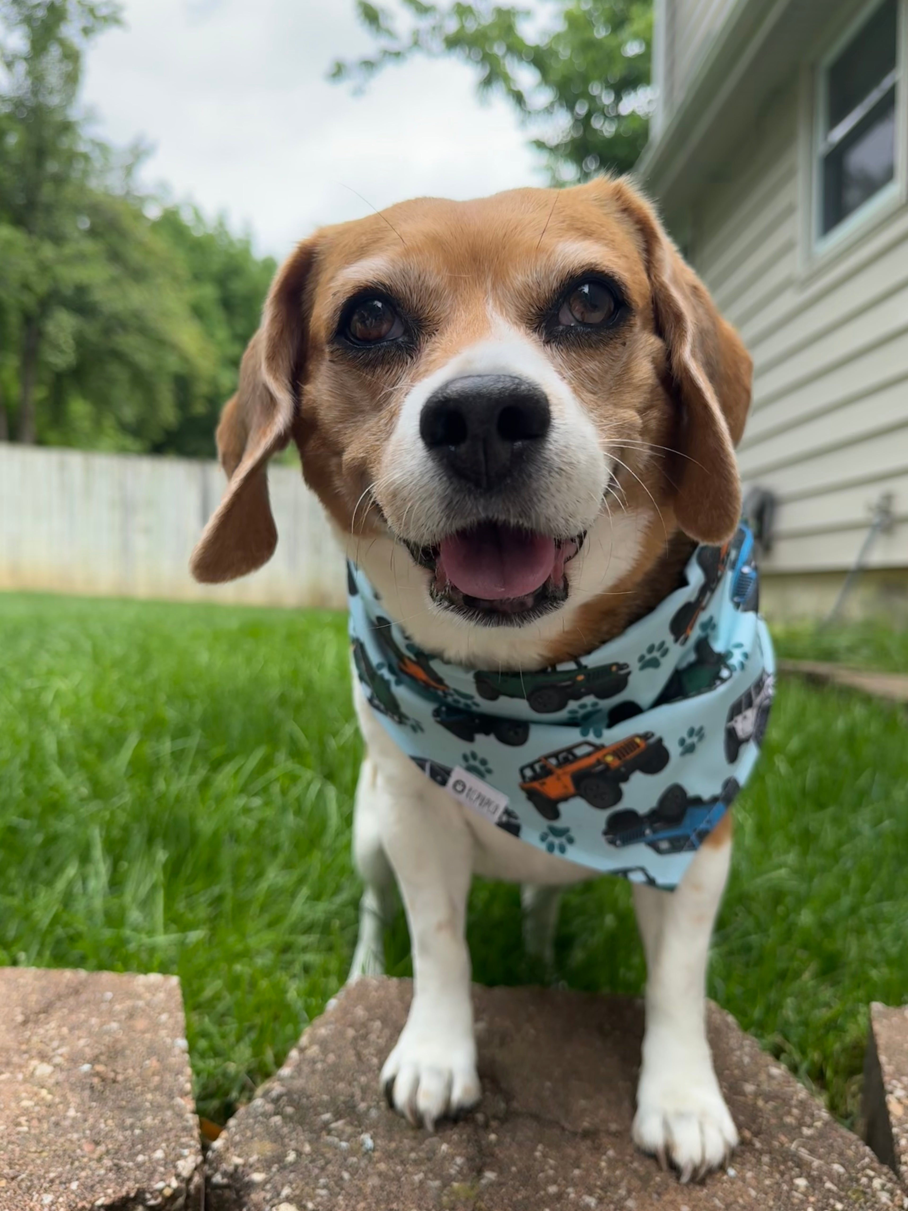 Jeep Bandana | Car Enthusiast Themed Tie On Bandana