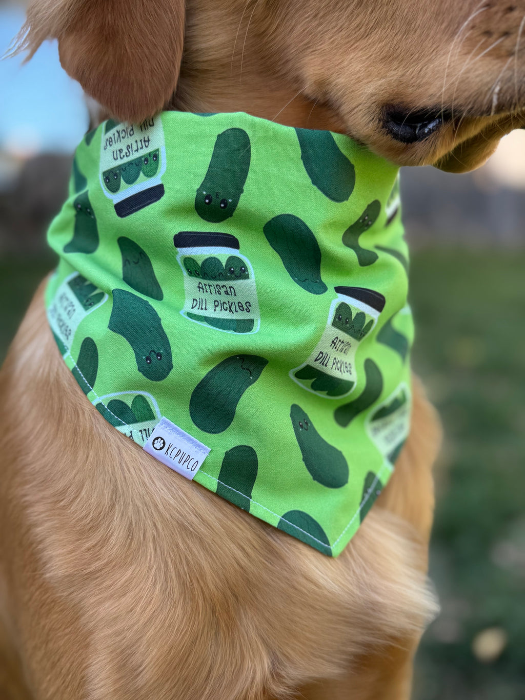 In a Pickle Bandana | Smiling Pickles on Green Cotton Tie On Bandana