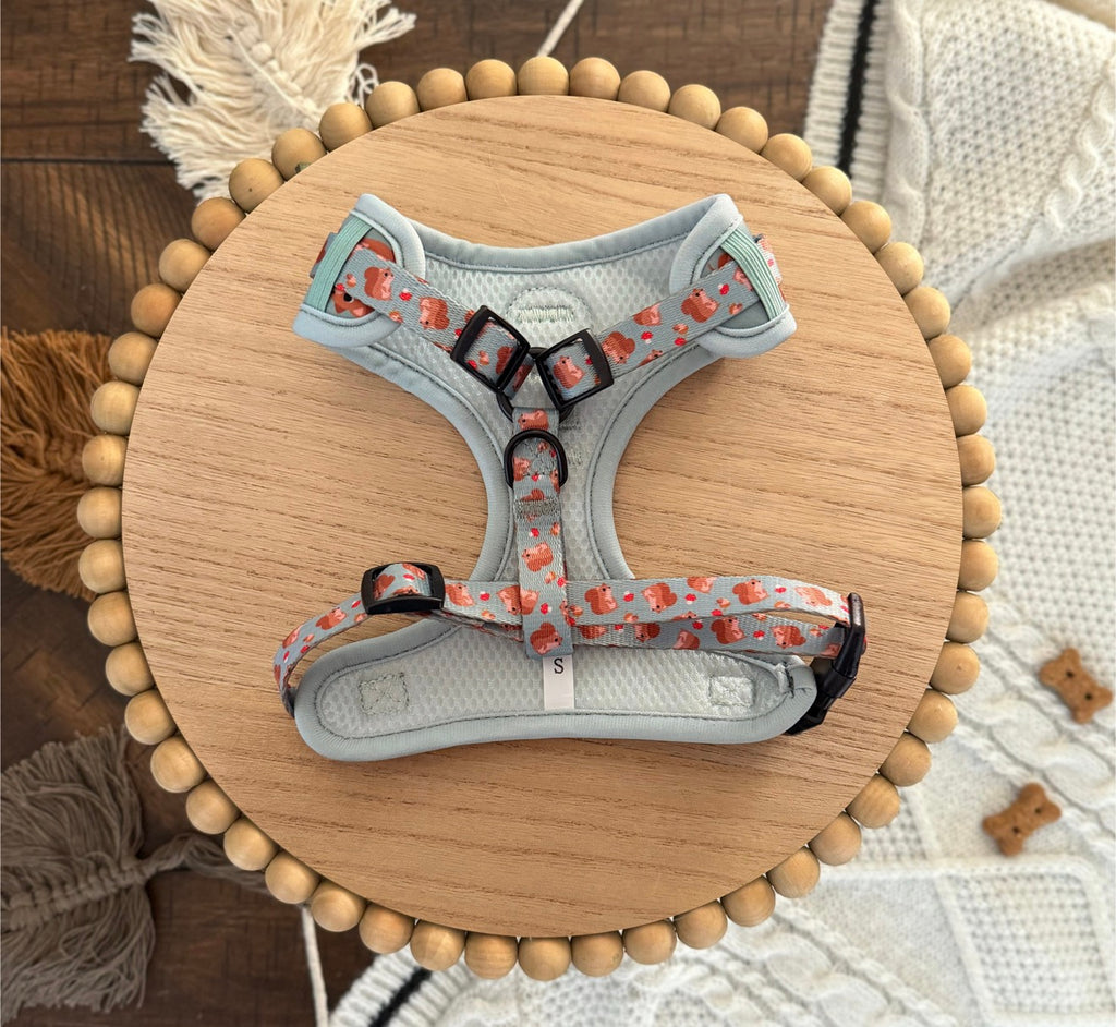 Pip Harness | Squirrels and Acorns Green Neoprene Adjustable Harness