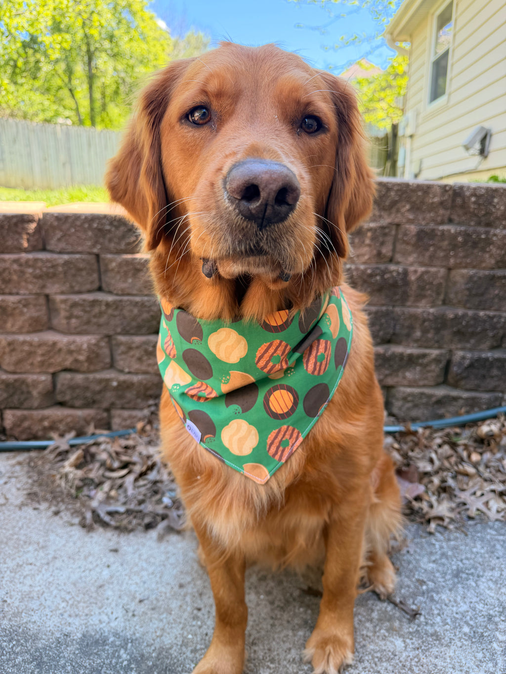 Cookie Bandana | Cookie Assortment on Evergreen Tie On Cotton Bandana
