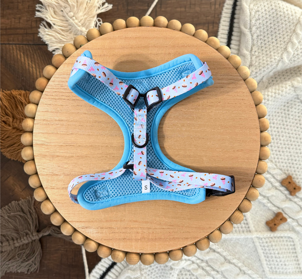 Me Espresso Harness | Espresso Martini and Bow Light Blue Neoprene Adjustable Harness