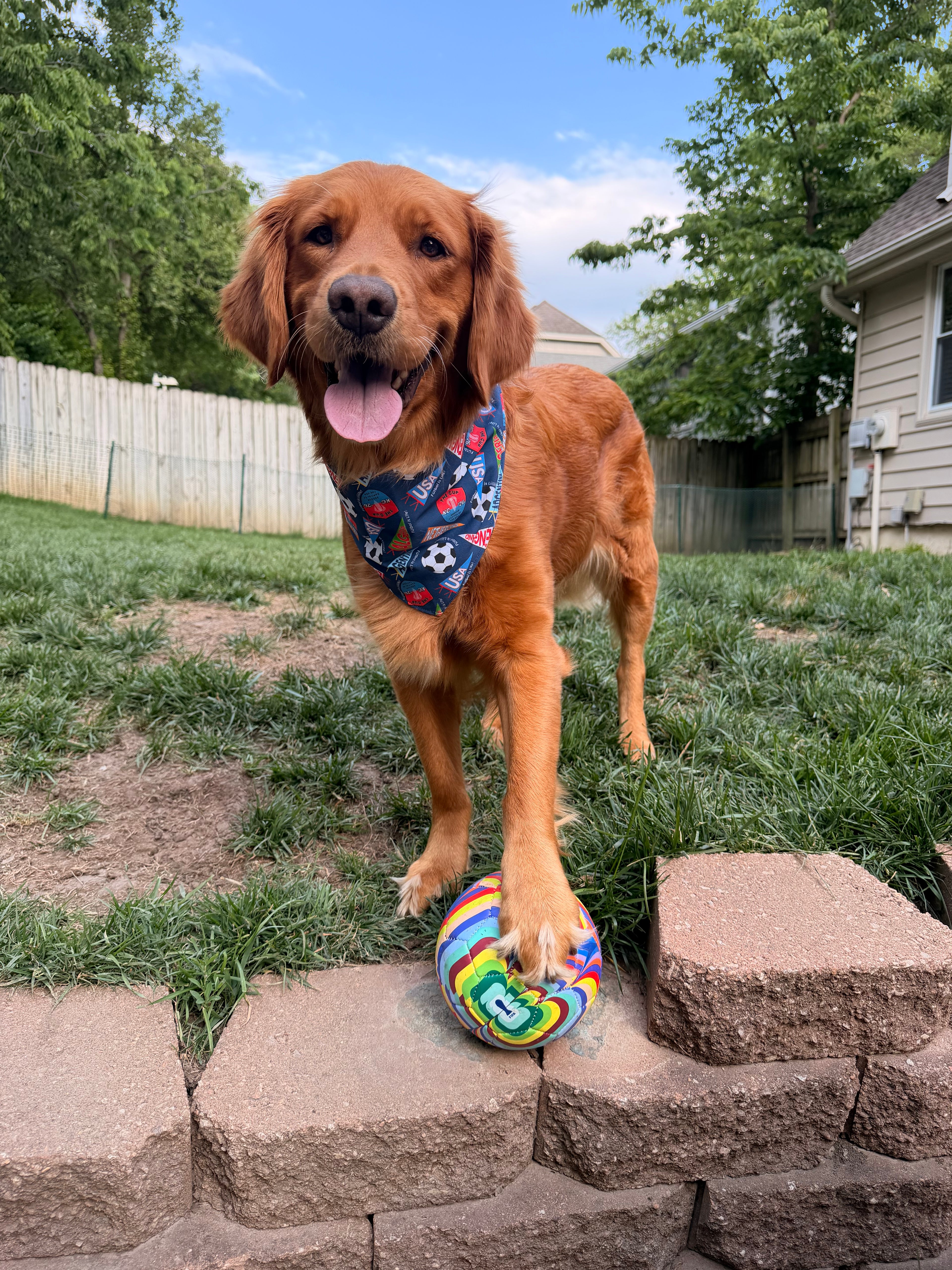 Futbol is Life Bandana | World Soccer Themed Tie On Cotton Bandana