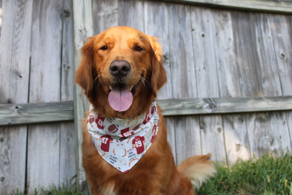So High School Bandana | KC Football Themed With Friendship Bracelets Tie On Bandana