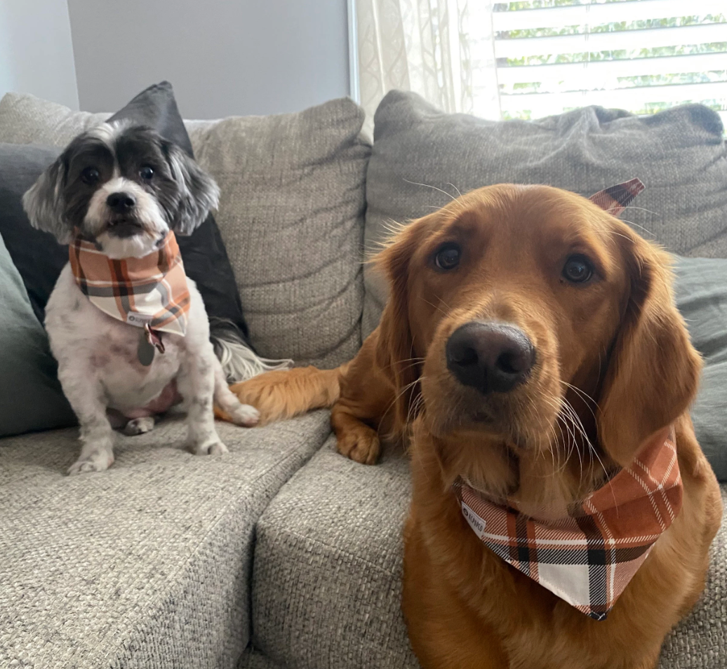 Scarecrow Bandana | Light Orange and Beige Plaid Tie On Fall Bandana for Dogs