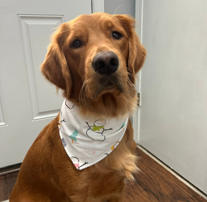 White Christmas Bandana |  Dancing Snowmen on White Flannel Winter Bandana for Dogs