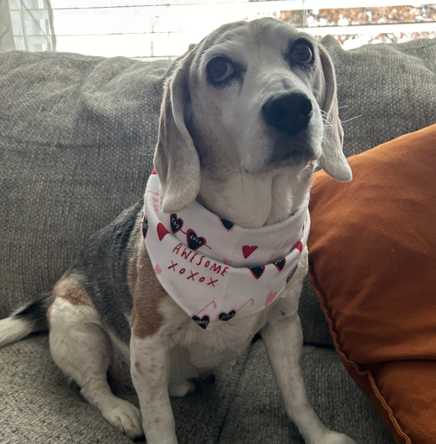 This Love Bandana | Pink and Red Heart Sunglasses Flannel Tie On Valentines Day Bandana