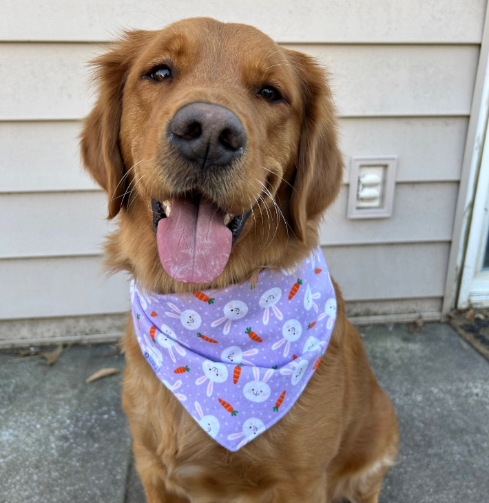 Daisy Mae Bandana | Bunnies and Carrots on Lavender Flannel Tie On Easter Bandana