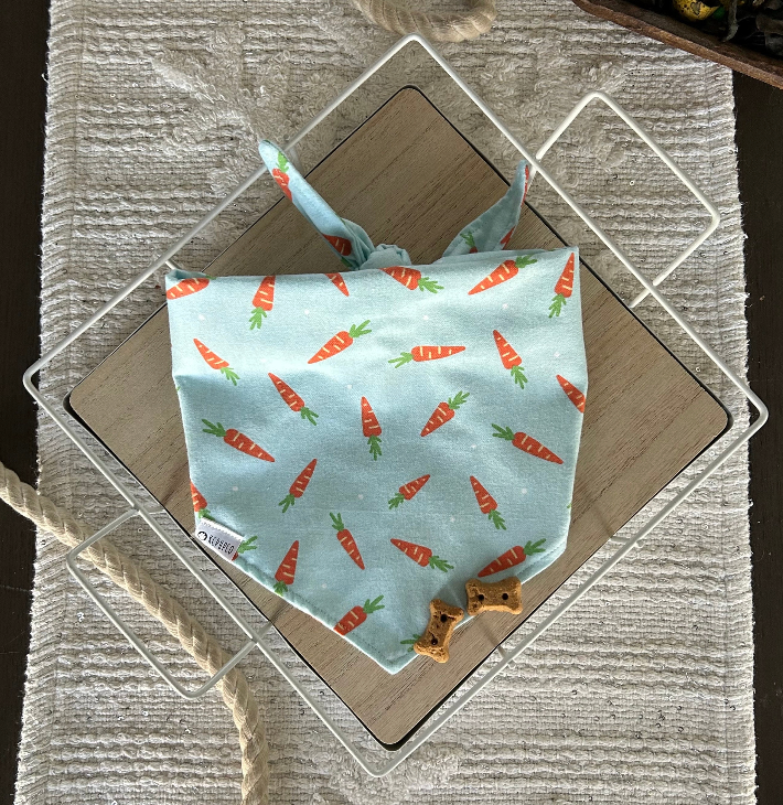 Louis Bandana | Baby Carrots on Light Blue Flannel Tie On Easter Bandana