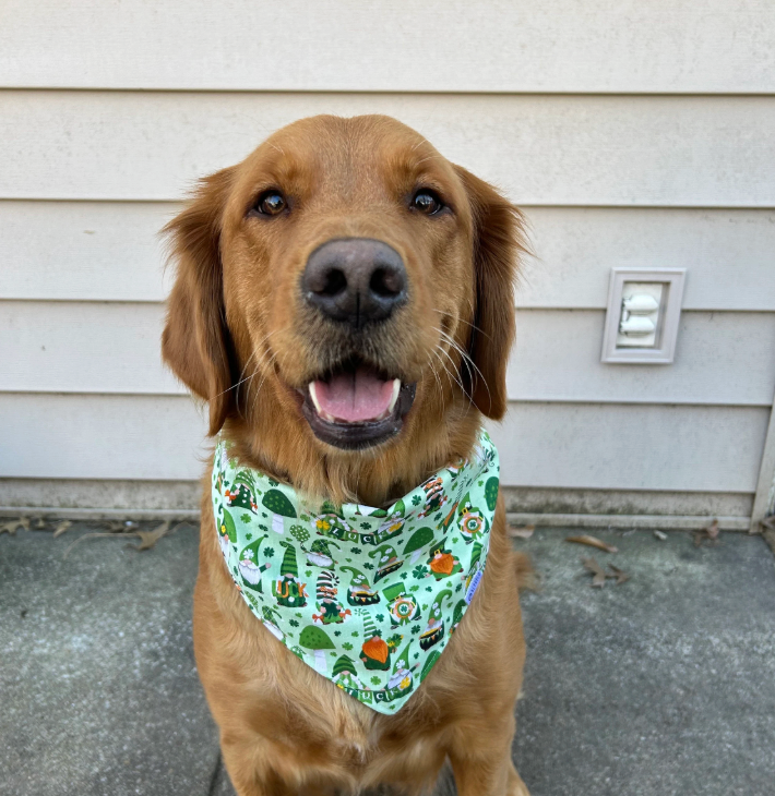 Lucky One Bandana | St Patricks Day Gnomes on Green Tie On Bandana