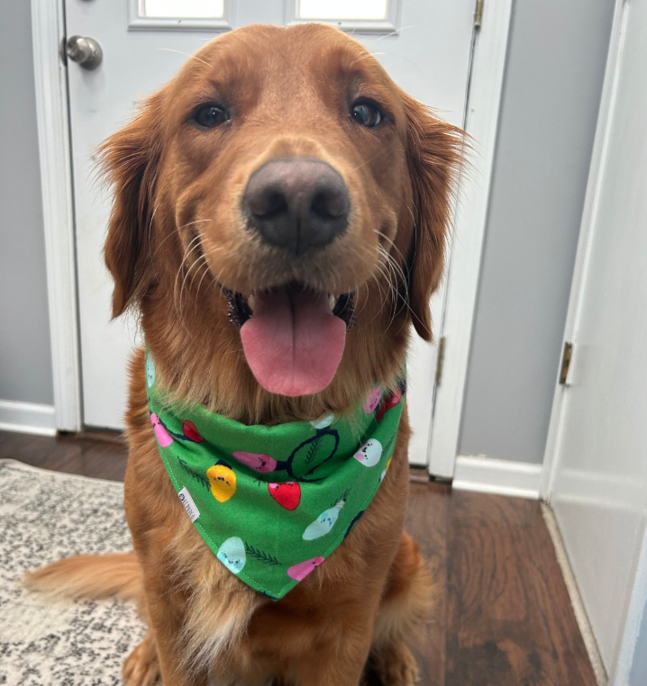 Plaza Lights Bandana |  Smiling Christmas Lights Tie On Green Winter Flannel Bandana for Dogs