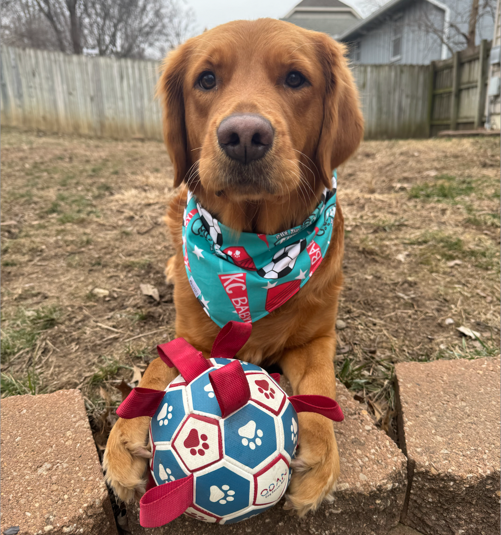KC Baby! Bandana | KC Women's Soccer Themed Tie On Cotton Bandana